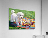 Bichon Frise Puppy Discovers Picnic Spread Impression acrylique