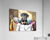 Puppy Cane Corso Discovers Cozy Laundry Basket Acrylic Print