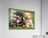 Exhausted Rottweiler Puppy Rests After Fun Playtime Impression acrylique