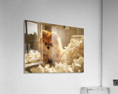 Guilty Pomeranian Puppy After Making Paper Mess Acrylic Print