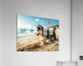 Siberian Husky Puppy Discovers Sandy Beach Fun Acrylic Print