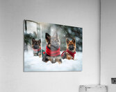 German Shepherd Puppys First Snow Day Adventure Impression acrylique