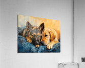 German Shepherd Puppy Snuggles With Golden Friend Impression acrylique