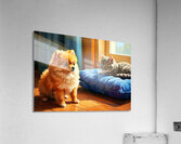 Pomeranian Puppy Discovers New Friend Acrylic Print