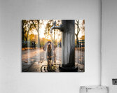 Dachshund Puppy Discovers Water Fountain Acrylic Print