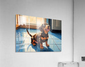 Dachshund Puppy Waiting For Special Treat Acrylic Print