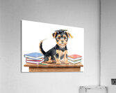 Yorkshire Terrier Puppys First Day Of School Impression acrylique