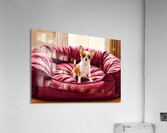 Tiny Chihuahua Puppy Discovers Giant Dog Bed Impression acrylique