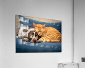 Puppy And Cat Snuggle Together Peacefully Impression acrylique