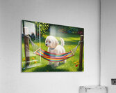 Poodle Puppy Discovers Tiny Hammock Acrylic Print