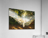 Poodle Puppy Naps In Hammock Impression acrylique