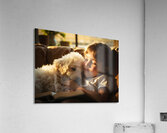 Poodle Puppy Dreams During Story Time Acrylic Print