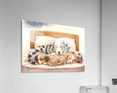 Sleepy Australian Shepherd Puppy Rests After Storm Impression acrylique
