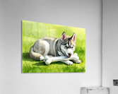 Content Husky Puppy Enjoys Victory With Bone Impression acrylique