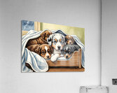 Australian Shepherd Puppy Seeks Comfort During Storm Impression acrylique