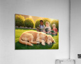 Golden Retriever Puppy Naps After Fun Day Playing Acrylic Print