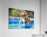 Chihuahua Puppy Discovers The Pool Impression acrylique