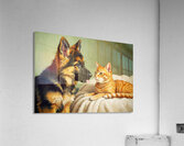 German Shepherd Puppy Meets Sleeping Cat Impression acrylique