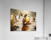 Corgi Puppy Ready For Rainy Day Adventure Impression acrylique