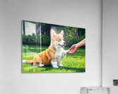Pembroke Welsh Corgi Puppy Discovers New Hand Game Acrylic Print