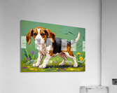 Beagle Puppy Spots Flying Frisbee Acrylic Print
