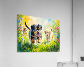 Rottweiler Puppy Ready To Play With Siblings Acrylic Print