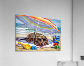 Proud Dachshund Puppy Shows Off Completed Sandcastle Acrylic Print