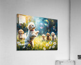 Poodle Puppy Discovers Magical Floating Bubbles Acrylic Print