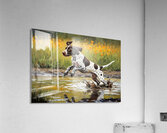 Happy Muddy German Shorthaired Pointer Puppy After Puddle Adventure Impression acrylique