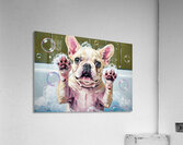 French Bulldog Puppys Bubble Bath Adventure Begins Impression acrylique