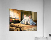 French Bulldog Puppy Happy And Warm After Beach Adventure Acrylic Print