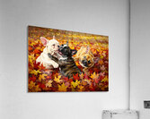 French Bulldog Puppy Rests After Autumn Play Acrylic Print