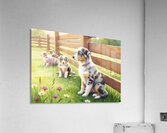 Content Australian Shepherd Puppy Enjoys Peaceful Moment Impression acrylique