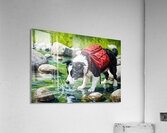 Sleepy Border Collie Puppy Rests Under The Oak Tree Impression acrylique