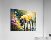 Happy Puppy Rests On Porch After Rainy Walk Acrylic Print