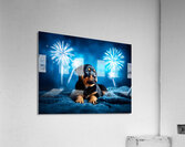 Rottweiler Puppy Completes Fireworks Adventure Impression acrylique