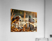 Beagle Puppy Explores By The Pond Impression acrylique