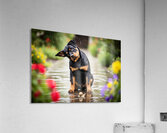 Happy Puppy Walks Away From Peaceful Garden Encounter Acrylic Print
