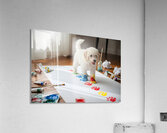 Proud Poodle Puppy With Finished Paw Print Masterpiece Impression acrylique