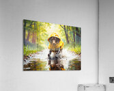German Shorthaired Pointer Puppy Ready For Rainy Adventure Acrylic Print