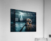 Dachshund Puppy Watches Storm From Covered Porch Acrylic Print