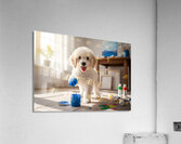 Poodle Puppy Discovers Colorful Paint Containers Acrylic Print