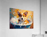 Happy Corgi Puppy Enjoys Bath Time Fun Acrylic Print