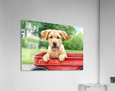 Puppys First Wagon Ride Adventure Acrylic Print