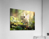 Pug Puppys Magical Garden Adventure Begins Impression acrylique