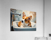 Nervous Corgi Puppy Waits In Bathroom Sink Impression acrylique