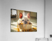 French Bulldog Puppy Discovers Spaghetti Bowl Impression acrylique