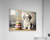 Sleepy Birthday Puppy Rests After Party Fun Acrylic Print