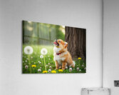 Playful Pomeranian Puppy Finds New Fun Around The Tree Acrylic Print