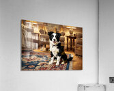 Vigilant Puppy Guards Hidden Toy Location Impression acrylique